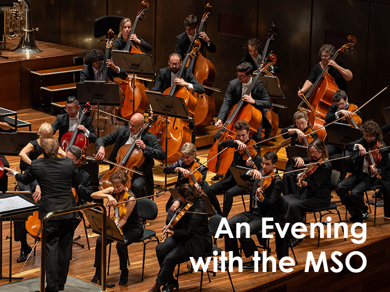 HERO IMAGE - An Evening with the MSO LO RES.jpg